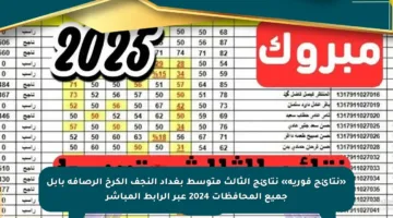 «نتائج فورية» نتائج الثالث متوسط بغداد النجف الكرخ الرصافة بابل جميع المحافظات 2024 عبر الرابط المباشر